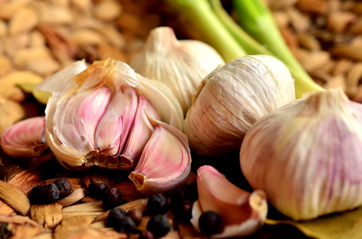 Scientifically Proven Benefits Of Eating Garlic Daily How To Ripe