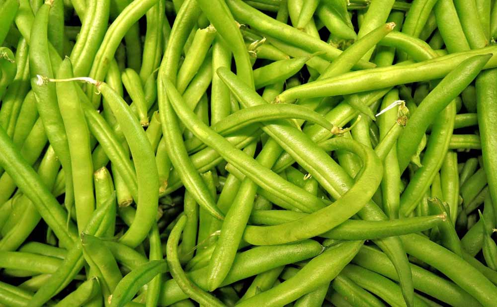 9 Benefits of Eating Beans Are Green Beans Good for You? How To Ripe