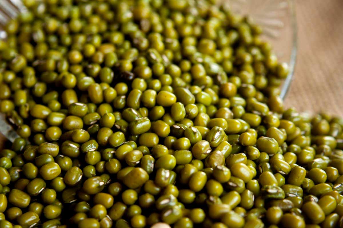 15-proven-health-benefits-of-eating-green-gram-mung-bean-how-to-ripe