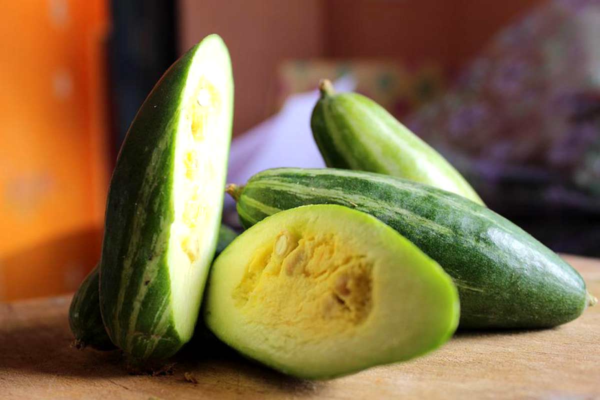 16-proven-health-benefits-of-eating-pointed-gourd-or-parwal-how-to-ripe